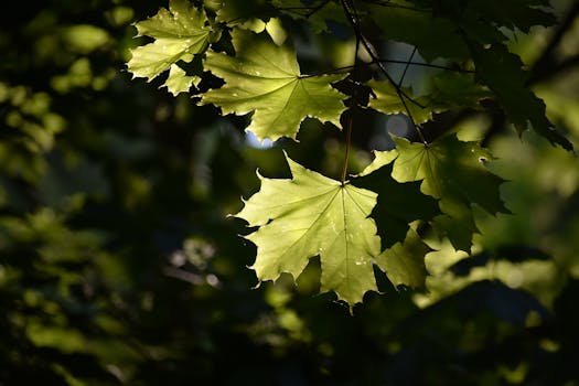 Santa Fe, United States photo 12