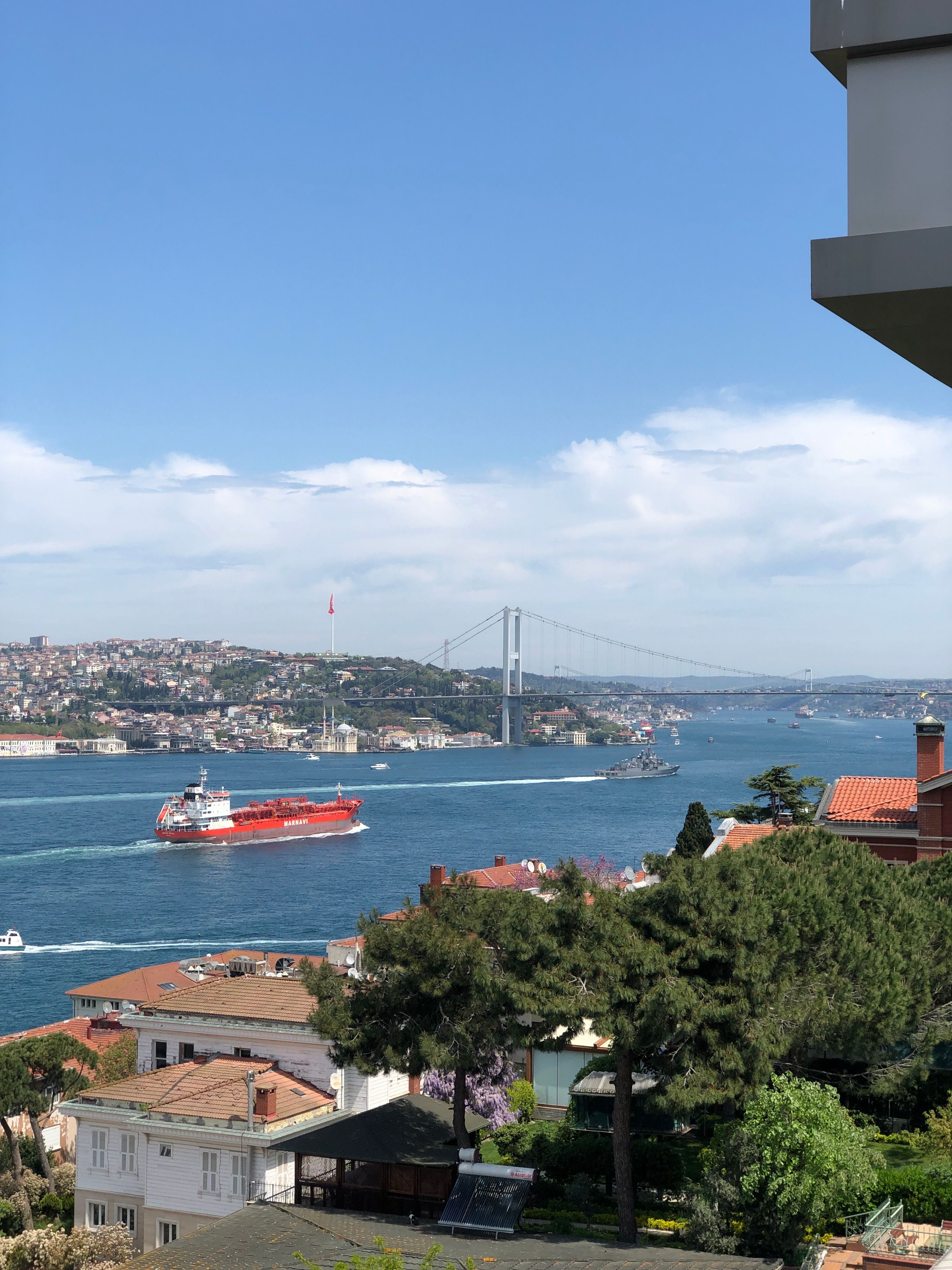 Sunlit Trees and Buildings on Coast of Istanbul · Free Stock Photo