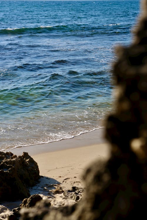 Immagine gratuita di bagnasciuga, focus selettivo, mare