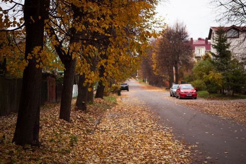 Free Picturesque alley with fallen leaves in autumn season, trees lining the road between houses. Stock Photo