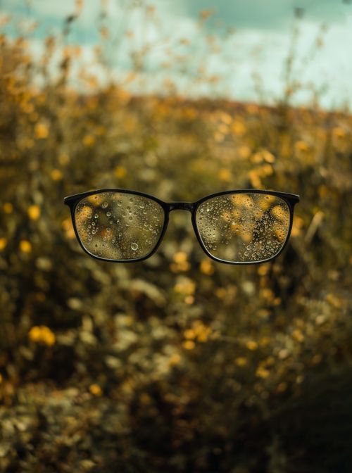 Free Glasses with raindrops suspended in a lush field background. Stock Photo