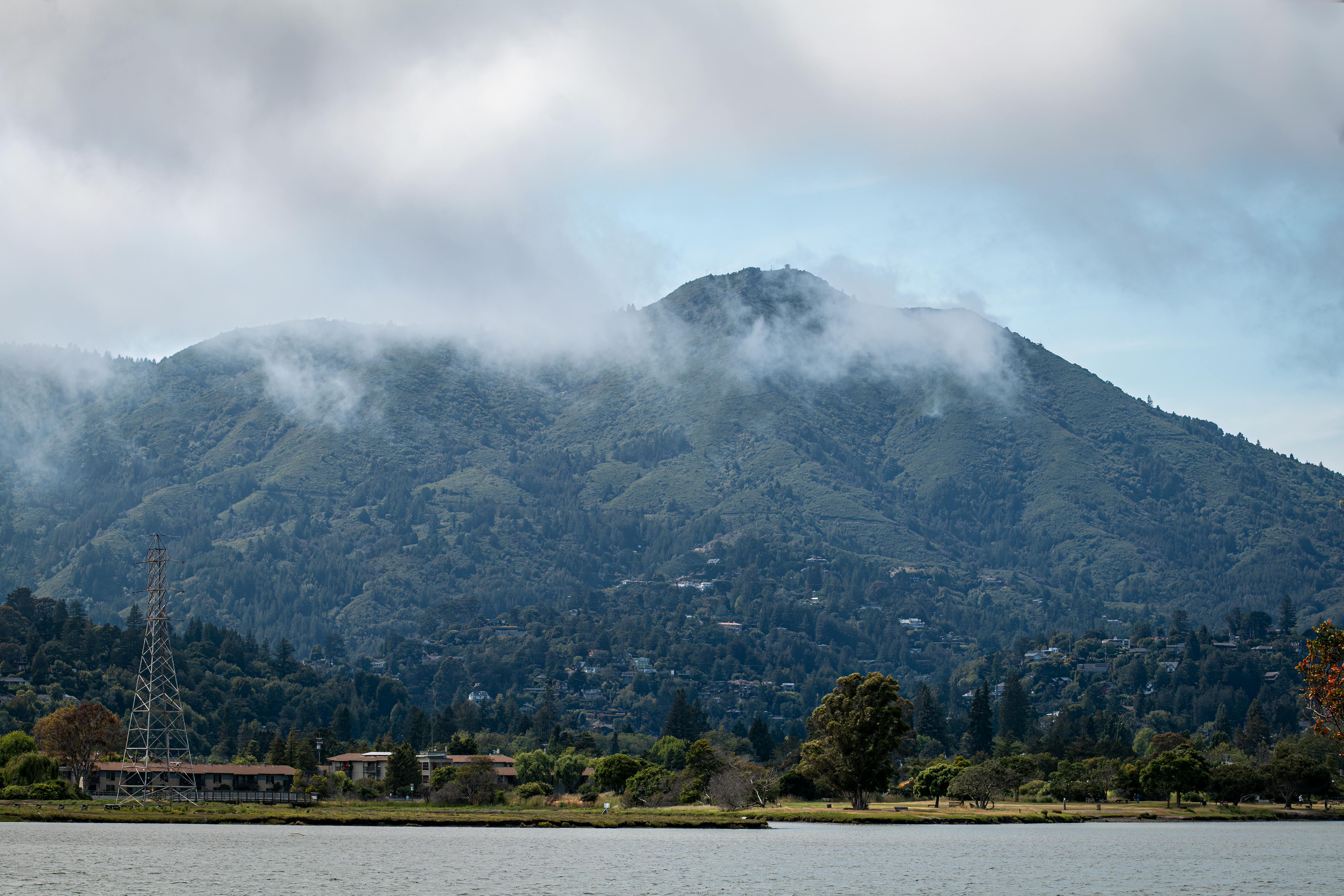 2025 Silicon Valley 150 Corporate Governance Report — Photo by David McElwee on Pexels