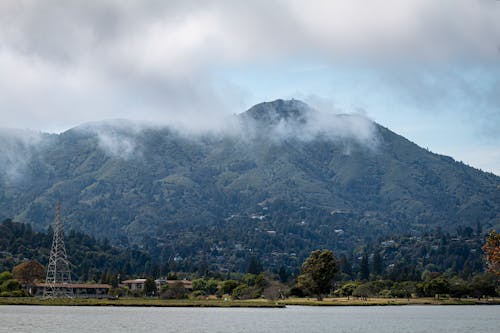 A Mountain Covered with Fog