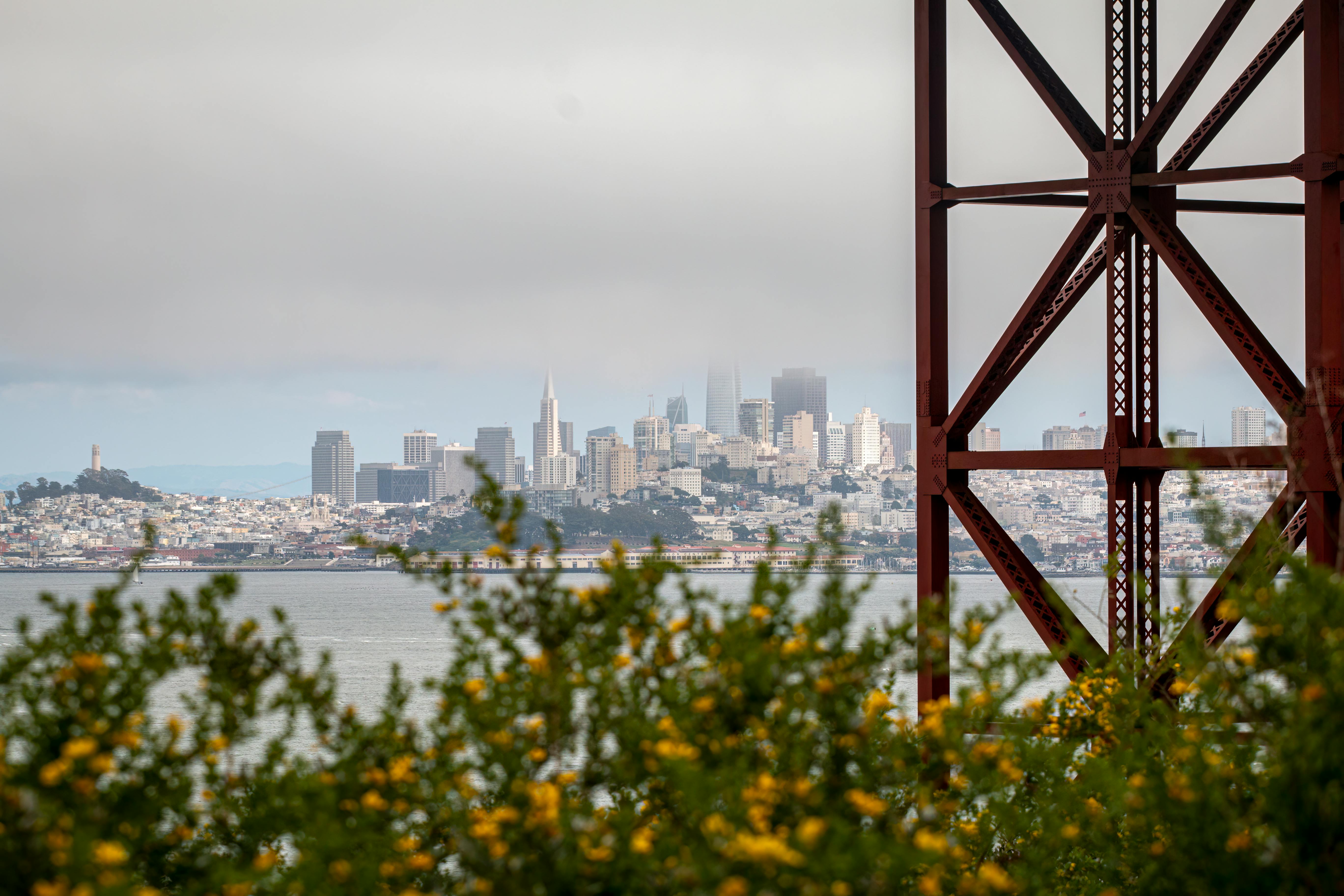 San Francisco skyline seen through the Golden Gate Bridge with blooming flowers in the foreground.