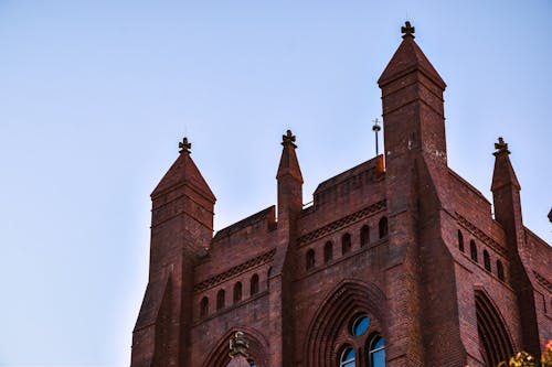 Fotos de stock gratuitas de arboles, arquitectura, arquitectura de la iglesia