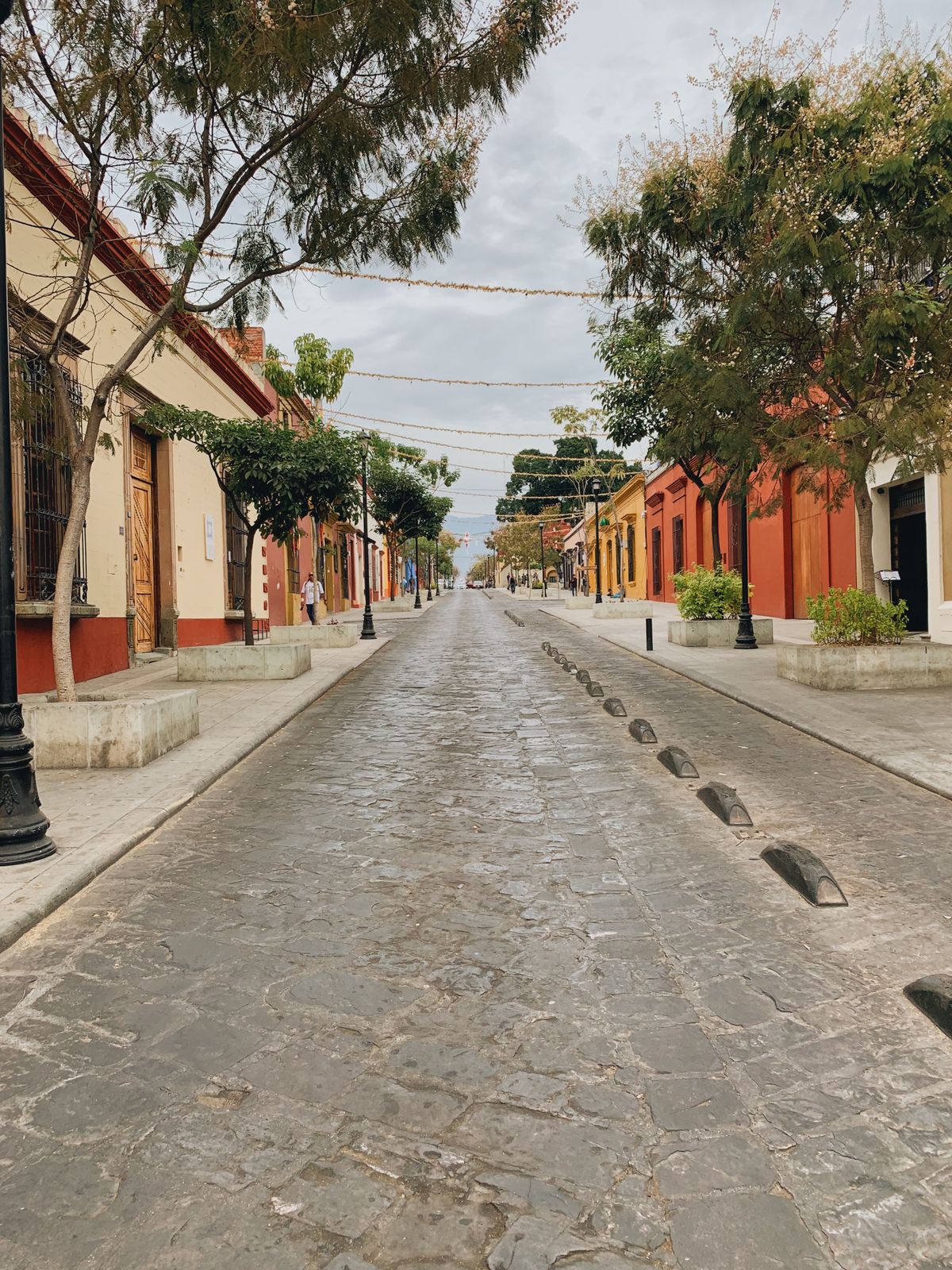 Scenic view of colorful buildings and cobblestone street in Oaxaca de Juárez.