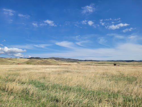 フィールド, 田舎, 草原の無料の写真素材