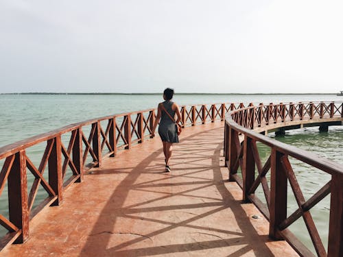 Fotos de stock gratuitas de agua, caminando, de espaldas