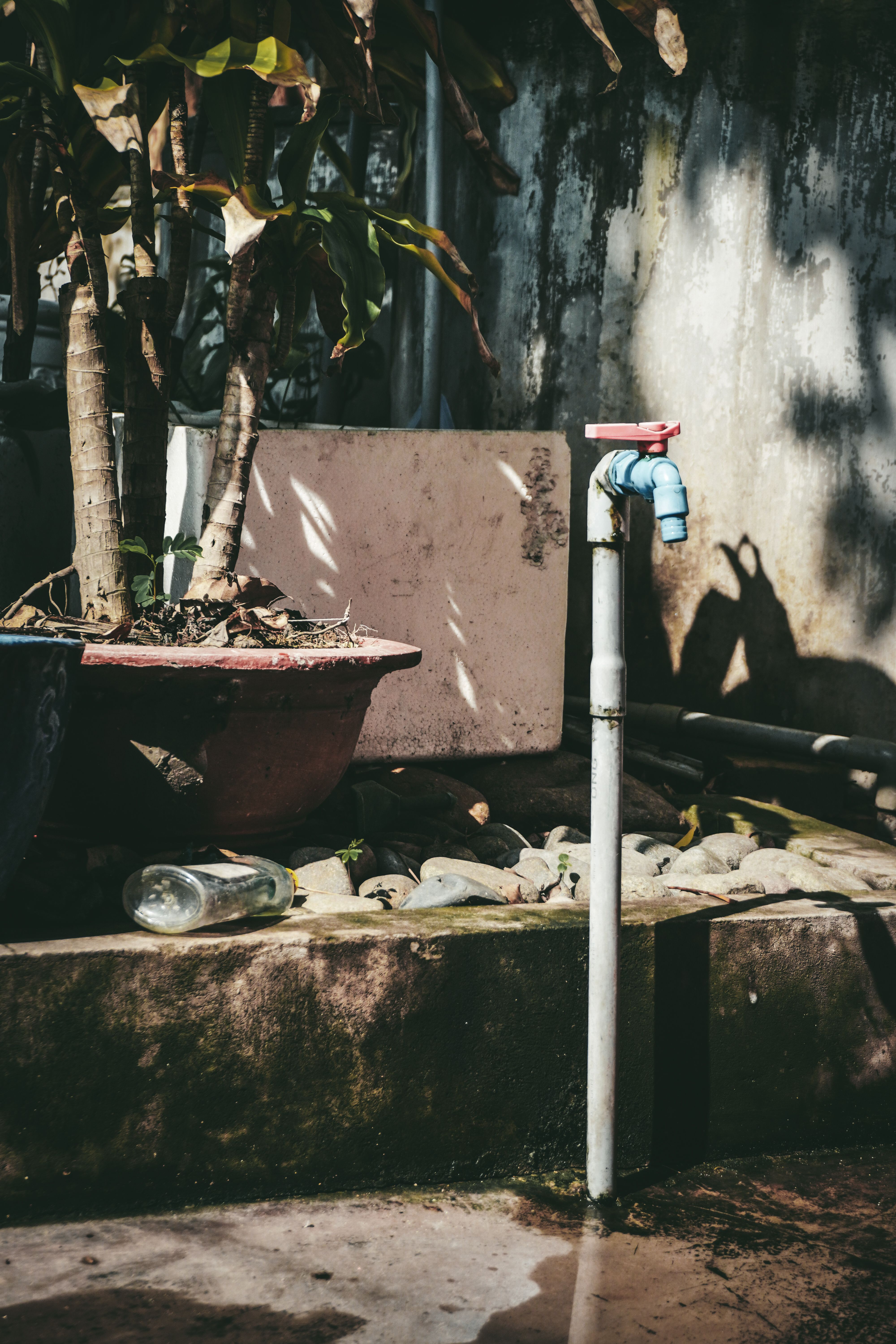 Outdoor garden tap on a sunlit wall surrounded by spring plants
