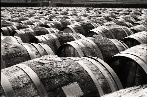 Black and White Picture of Wooden Wine Barrels 