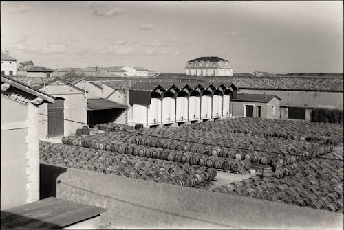 Black and White Picture of Rows of Barrels with Wine 