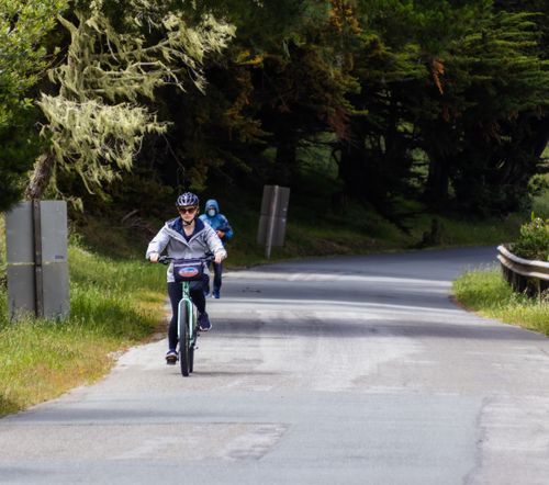 Free Two women cycling on a peaceful forest road, enjoying nature and recreation. Stock Photo