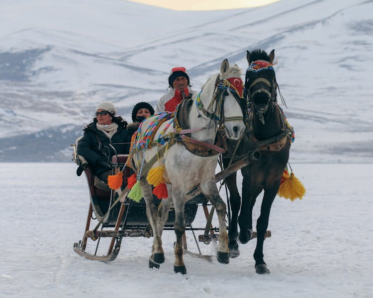 People Riding A Traditional Horse Sleigh In Winter