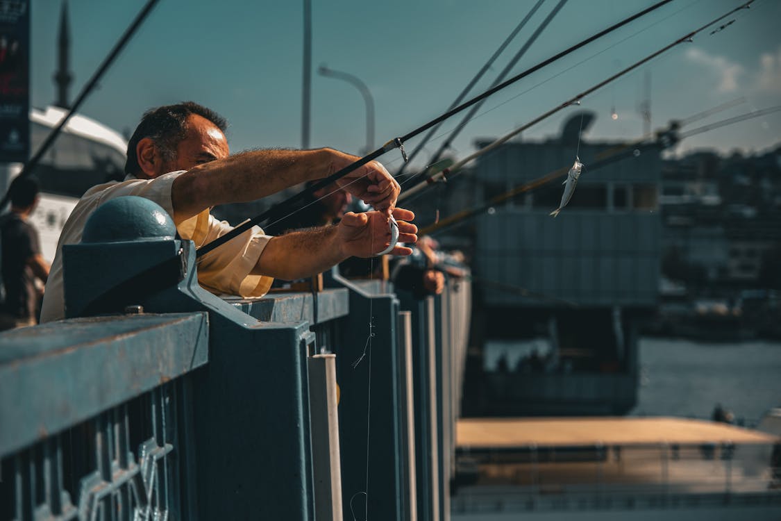 Men Fishing on a Bridge · Free Stock Photo