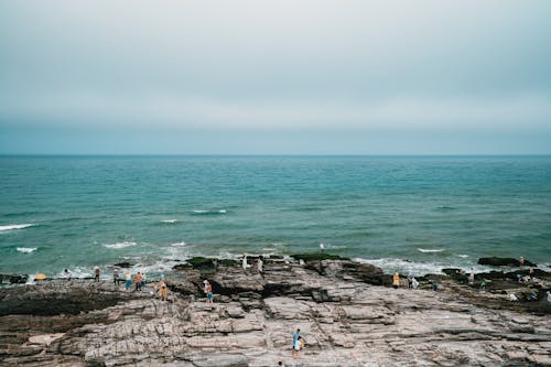 Gratis stockfoto met golven, kustlijn, mensen