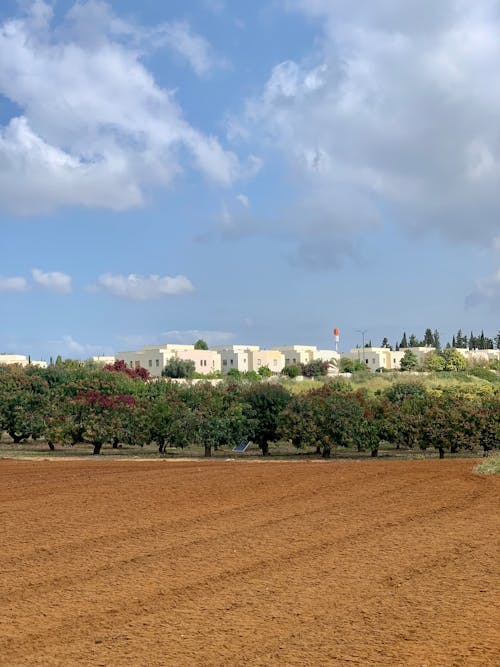 View of a Crop, Trees and Houses in the Background 