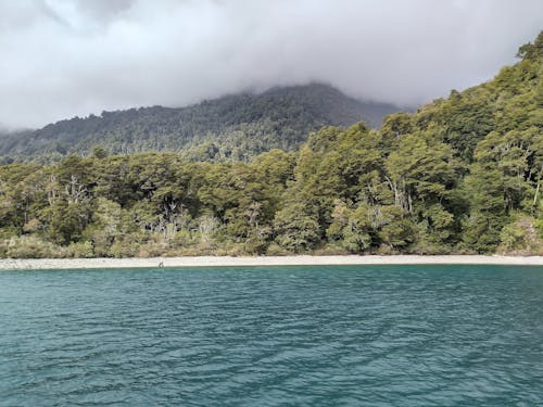bulut ormanı, göl, Güney Amerika içeren Ücretsiz stok fotoğraf