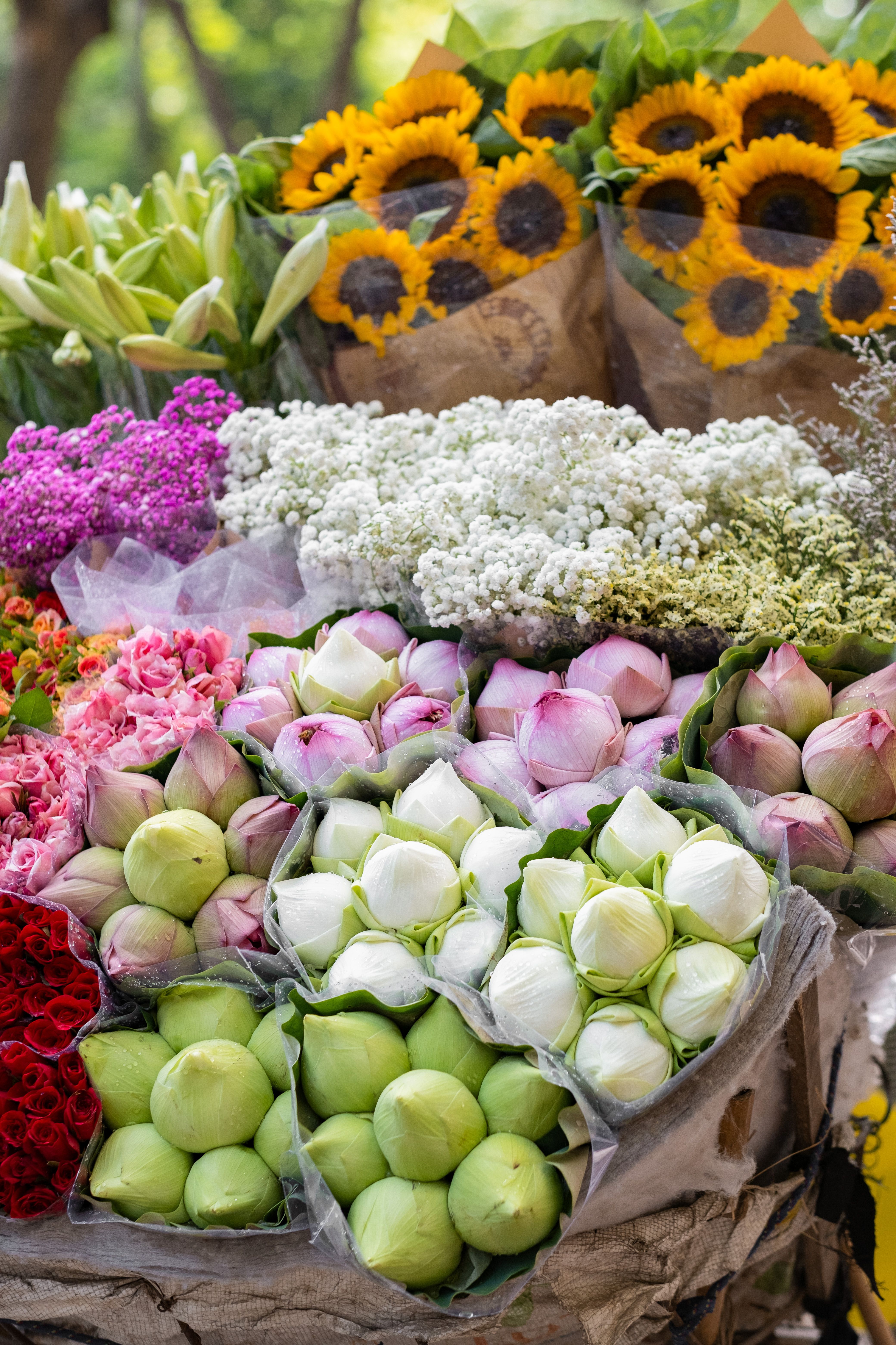 [ColoSach]-a-colorful-display-of-fresh-sunflowers,-roses,-and-lotuses-at-an-outdoor-market,-capturing-the-essence-of-spring.