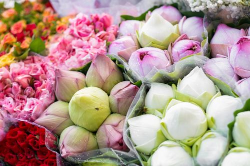 Free Close-up of colorful flower bouquets showcasing roses and lotus at a market. Stock Photo