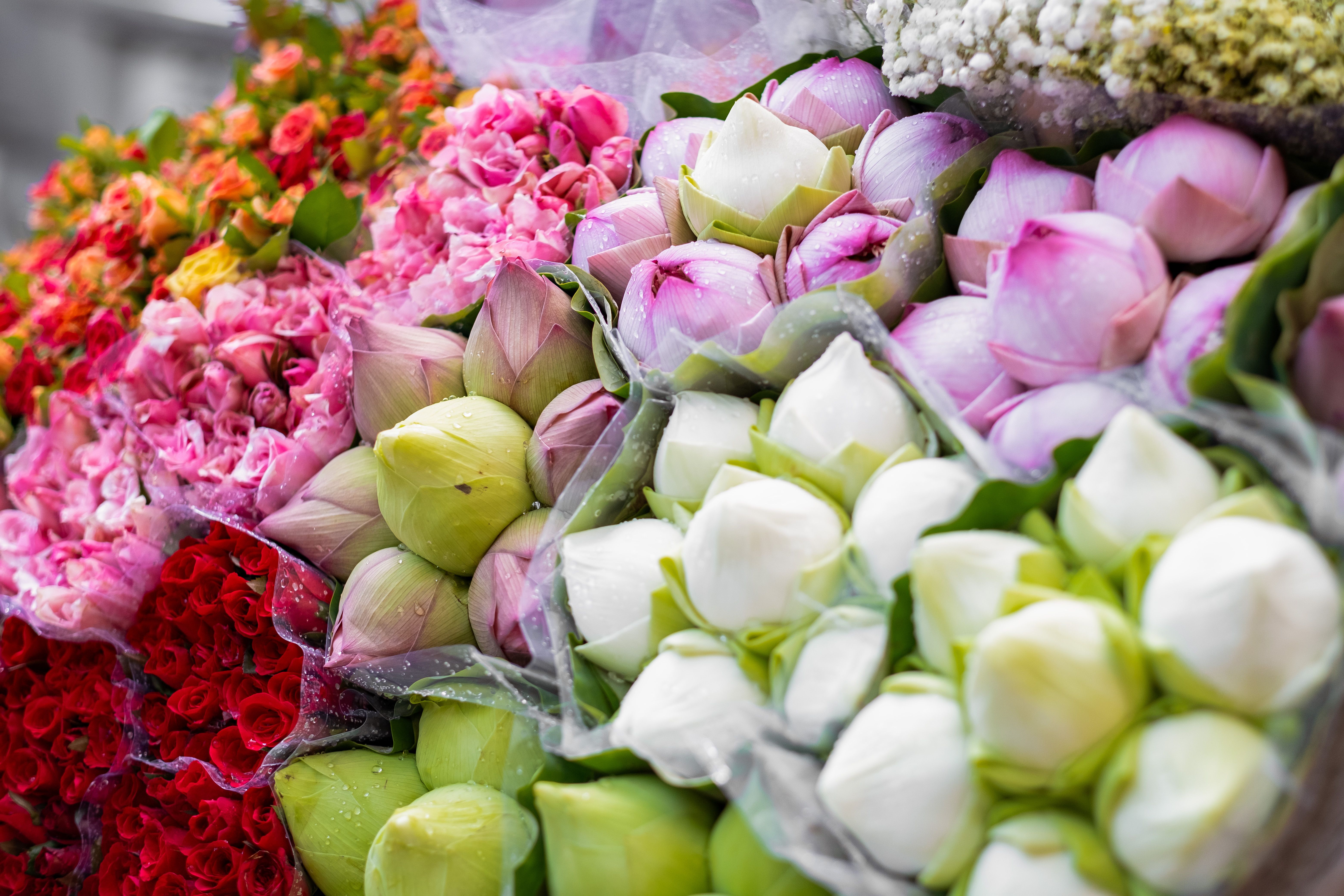 A colorful array of fresh flowers at a vibrant market, showcasing roses and lotuses.