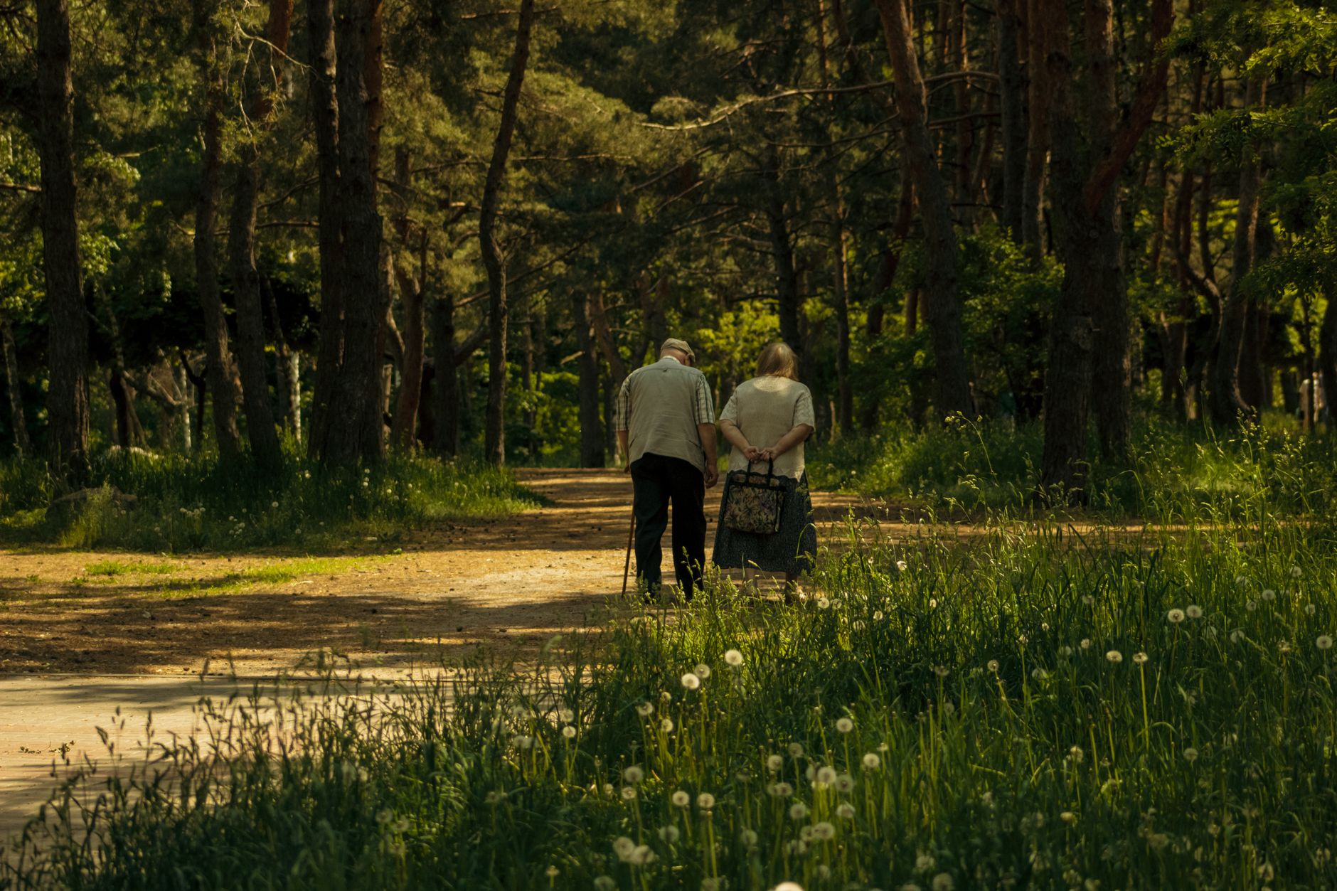 Senior couple walking hand in hand through a serene forest pathway in summer sunlight.