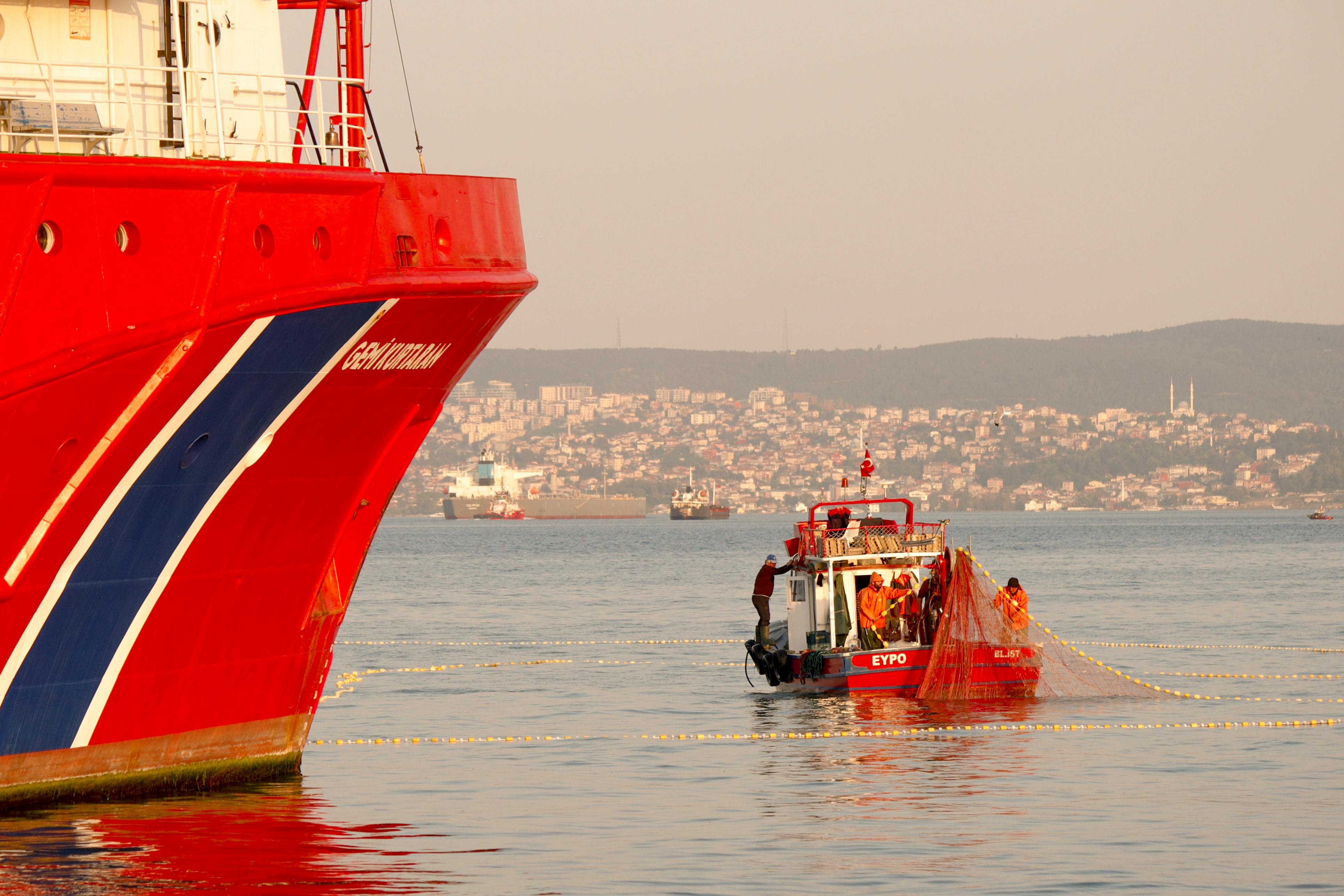 Admiral agrees to acquire commercial fleet provider in deal valued at £80m — Photo by Alimurat Üral on Pexels