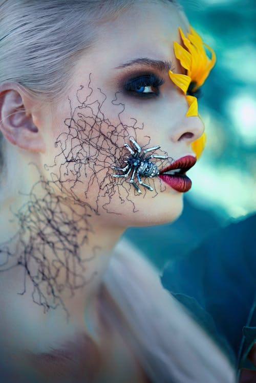 Foto profissional grátis de aranha, arte do rosto, artes do corpo