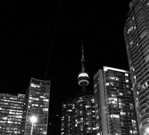 Free stock photo of black and white, city at night, cn tower