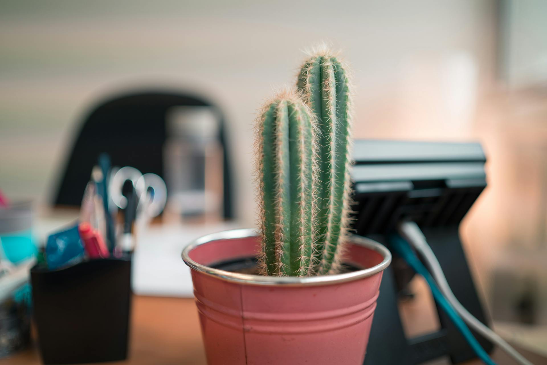 Close-up of a cactus plant in a pink pot on a cluttered office desk, adding greenery.