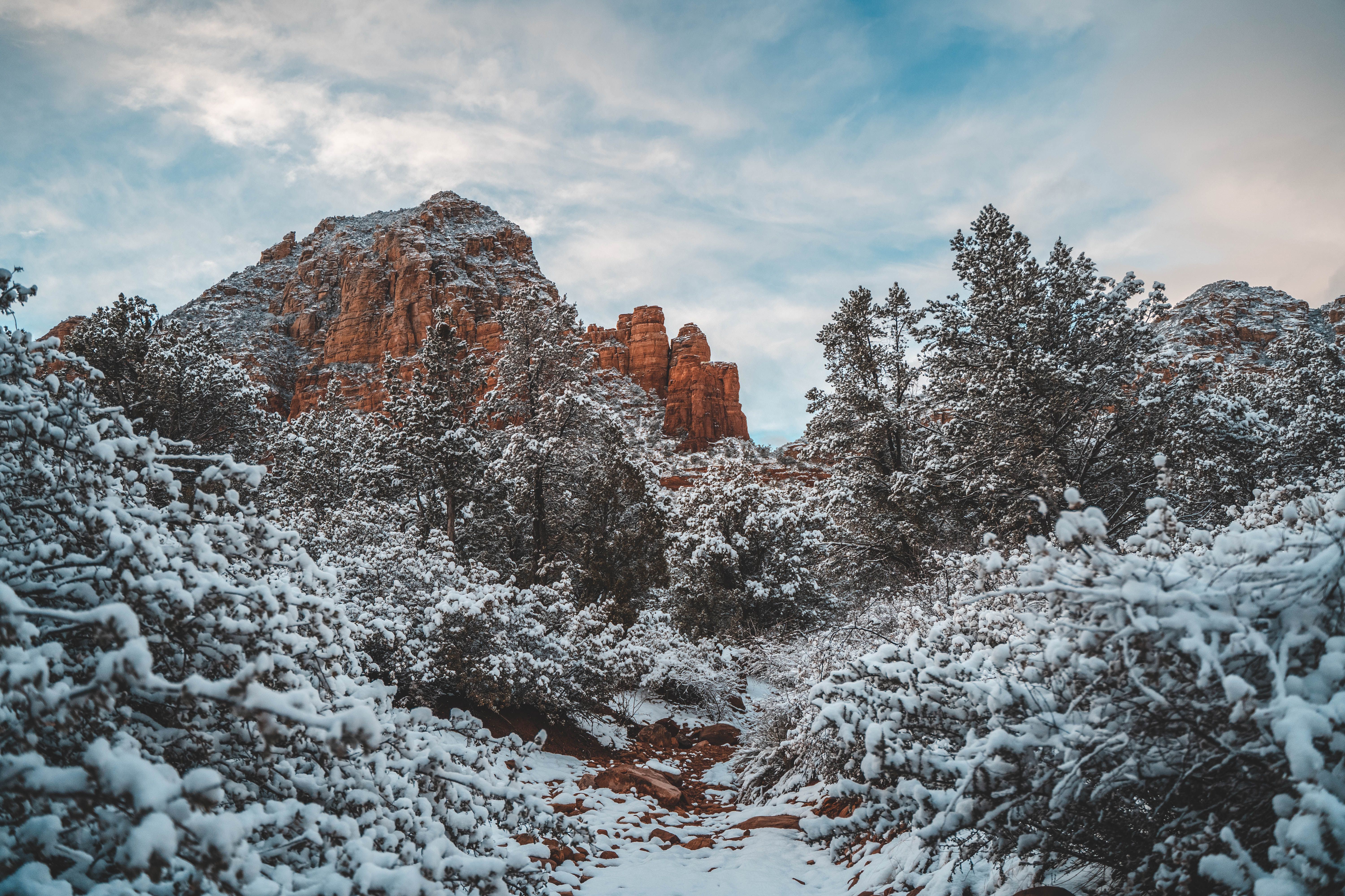 Arizona Mountains in Winter · Free Stock Photo