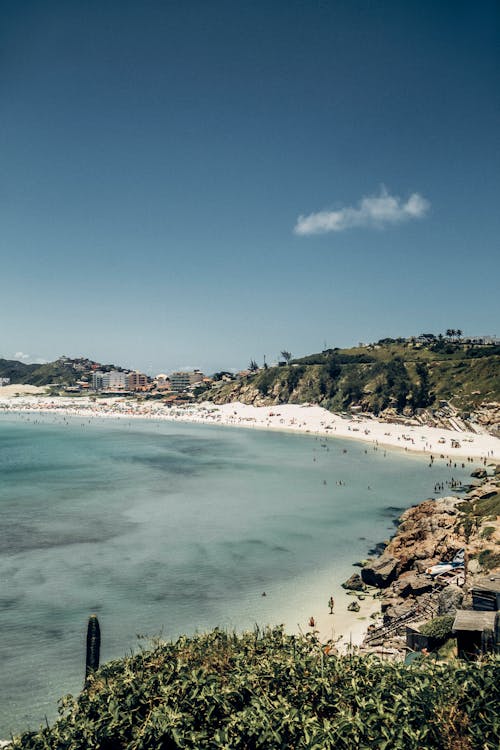 Foto stok gratis brasil, garis pantai, lansekap