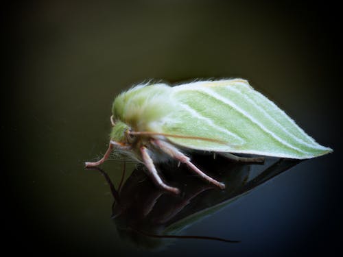 Fotobanka s bezplatnými fotkami na tému diaľničná nálepka, divočina, divý