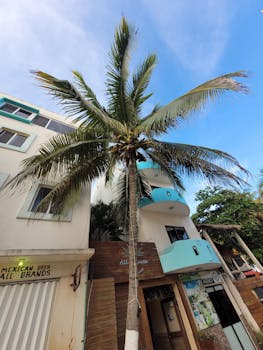 Low angle view of a palm tree in a vibrant urban setting with modern buildings.
