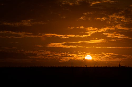 Kostenloses Stock Foto zu außerorts, gelben himmel, grasfläche