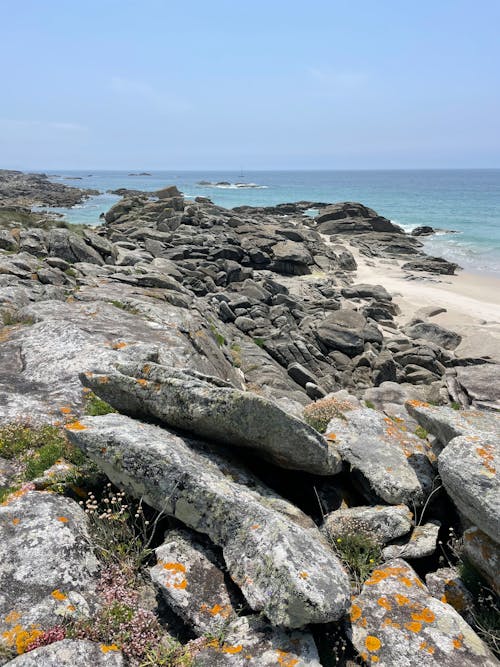 Rocky Shore of the Sea