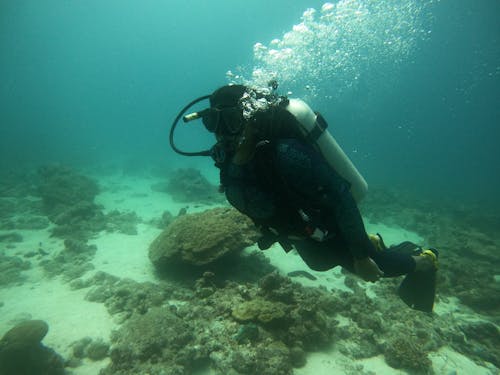Foto profissional grátis de aventura, descoberta, embaixo da água