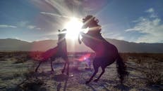 日落时分，加利福尼亚州博雷戈泉的沙漠风景中，两只正在吃草的马形成剪影