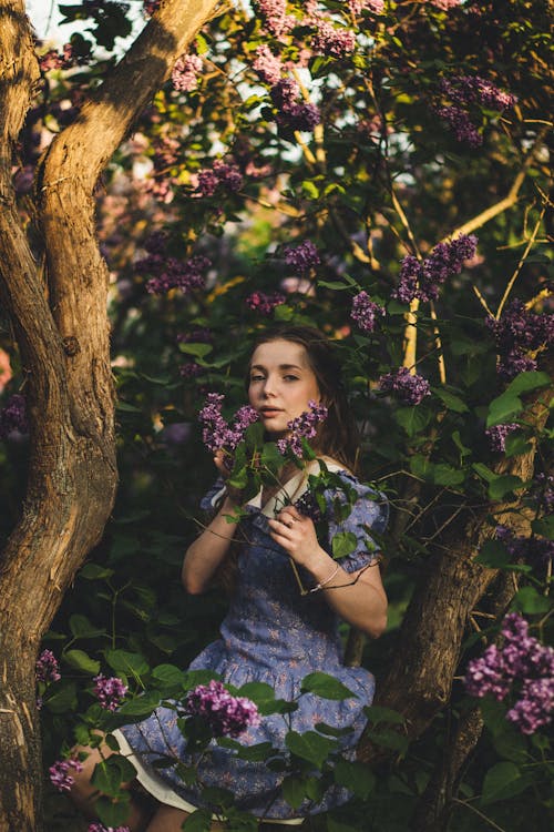 Young Woman Standing between Lilac Tree Branches 