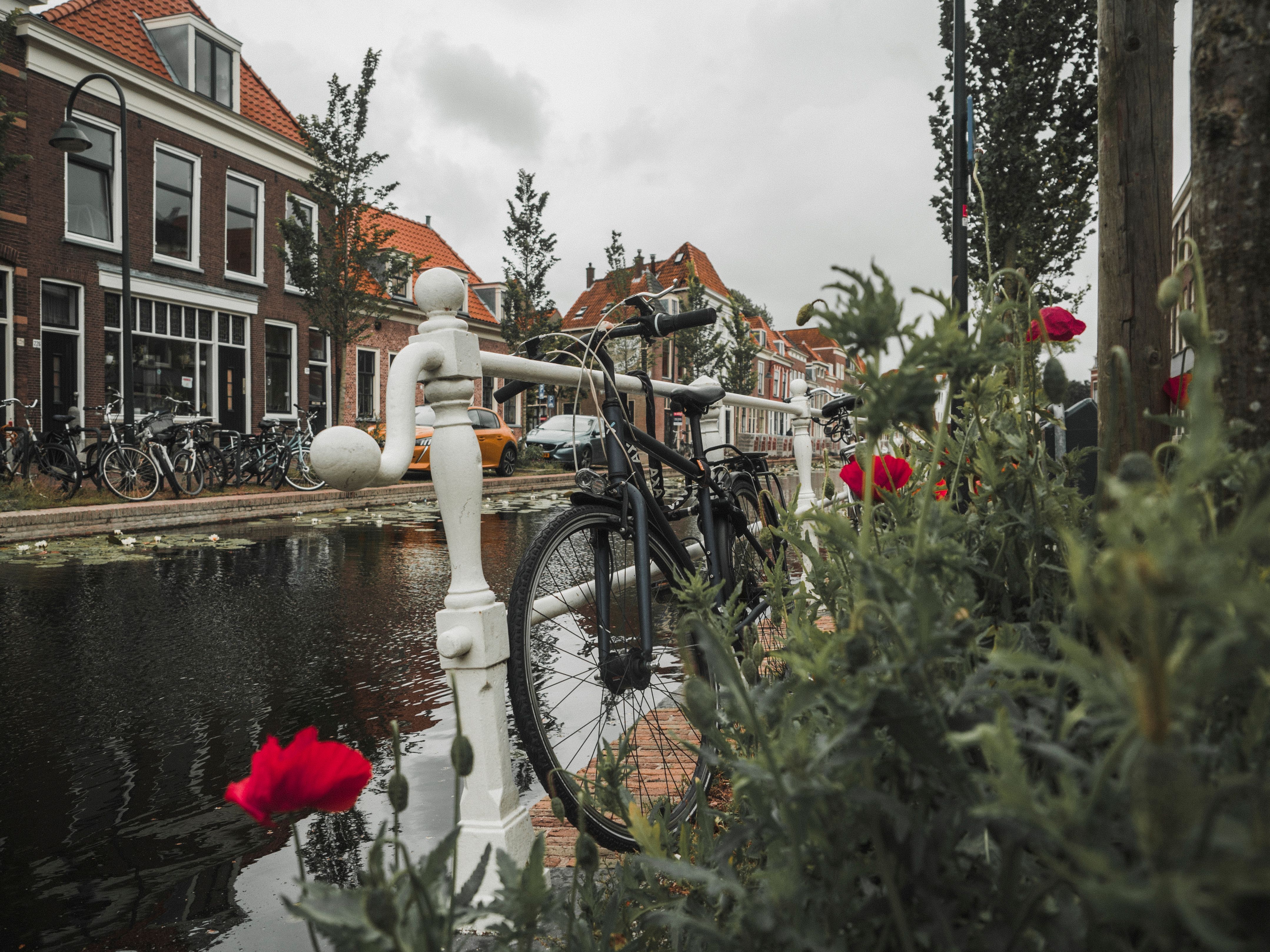 Delft'te bir kanal kenarında bisiklet yolu