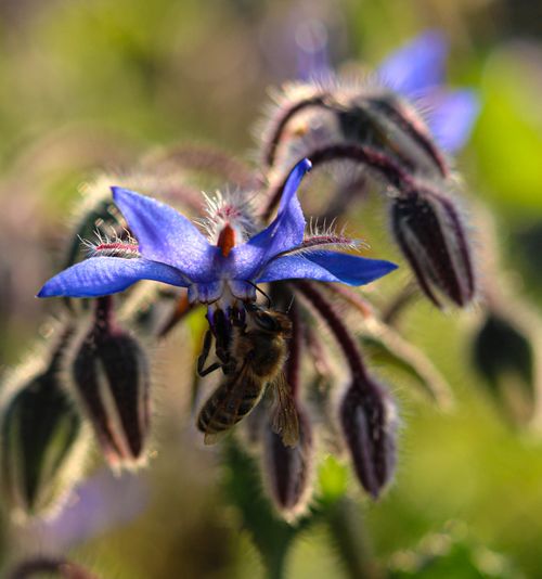 Free Spring will always be beautiful Stock Photo