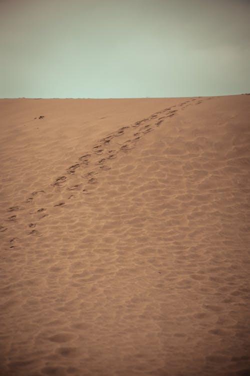 免费 垂直拍摄, 沙丘, 沙漠 的 免费素材图片 素材图片