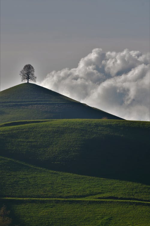 Fotobanka s bezplatnými fotkami na tému kopec, krajina, lúka