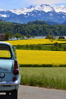 Classic car parked by a scenic mountain, lake, and meadow landscape with yellow fields.