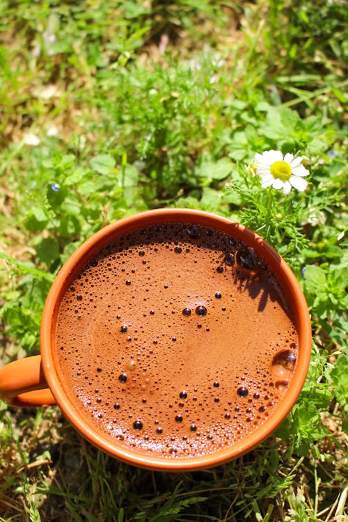Cup of Coffee on Grass
