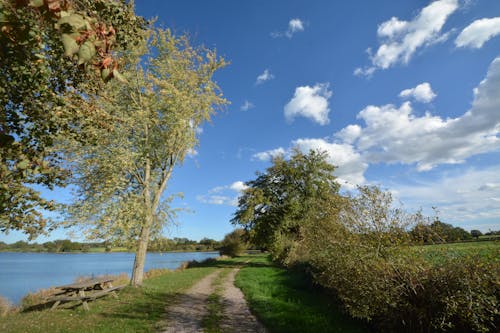 Kostenloses Stock Foto zu außerorts, bäume, feldweg