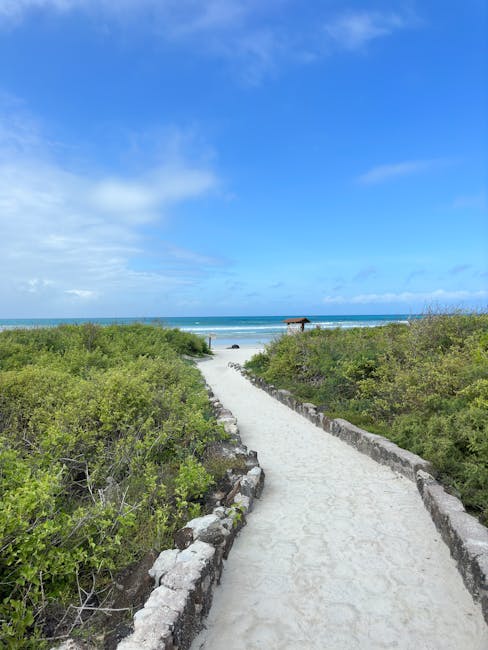 Bus Tickets & Public Transport Options Near Galapagos Islands Ecuador - Featured Image