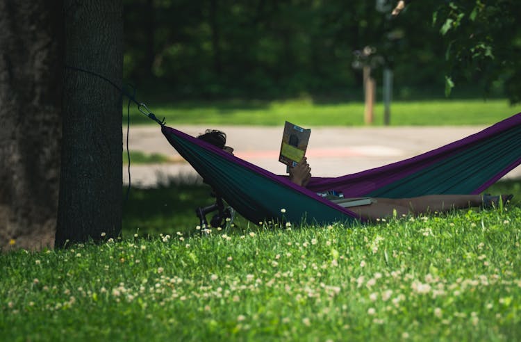 Woman Reading A Book In A Hammock 