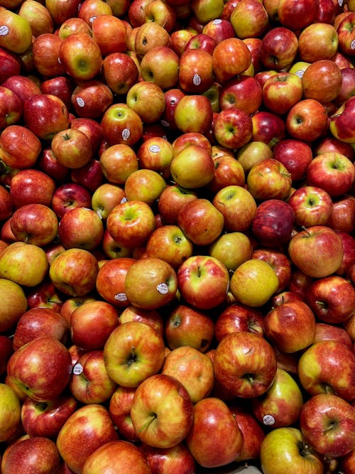 Gratis lagerfoto af æbler, frugter, lodret skud