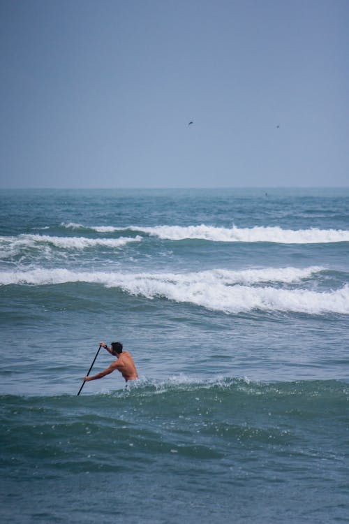 คลังภาพถ่ายฟรี ของ paddleboarding, คลื่น, ท่อง