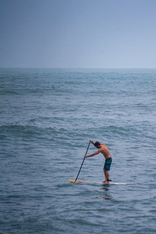 คลังภาพถ่ายฟรี ของ paddleboarding, การเดินเรือ, ทะเล